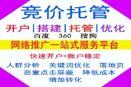 SEM托管服务案例：揭秘高效广告投放
